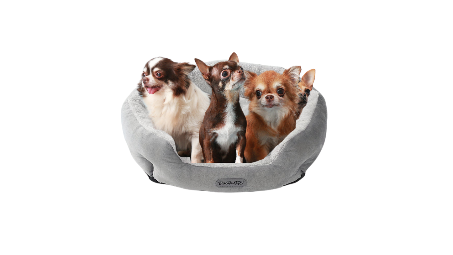 Cama Confort para Pets